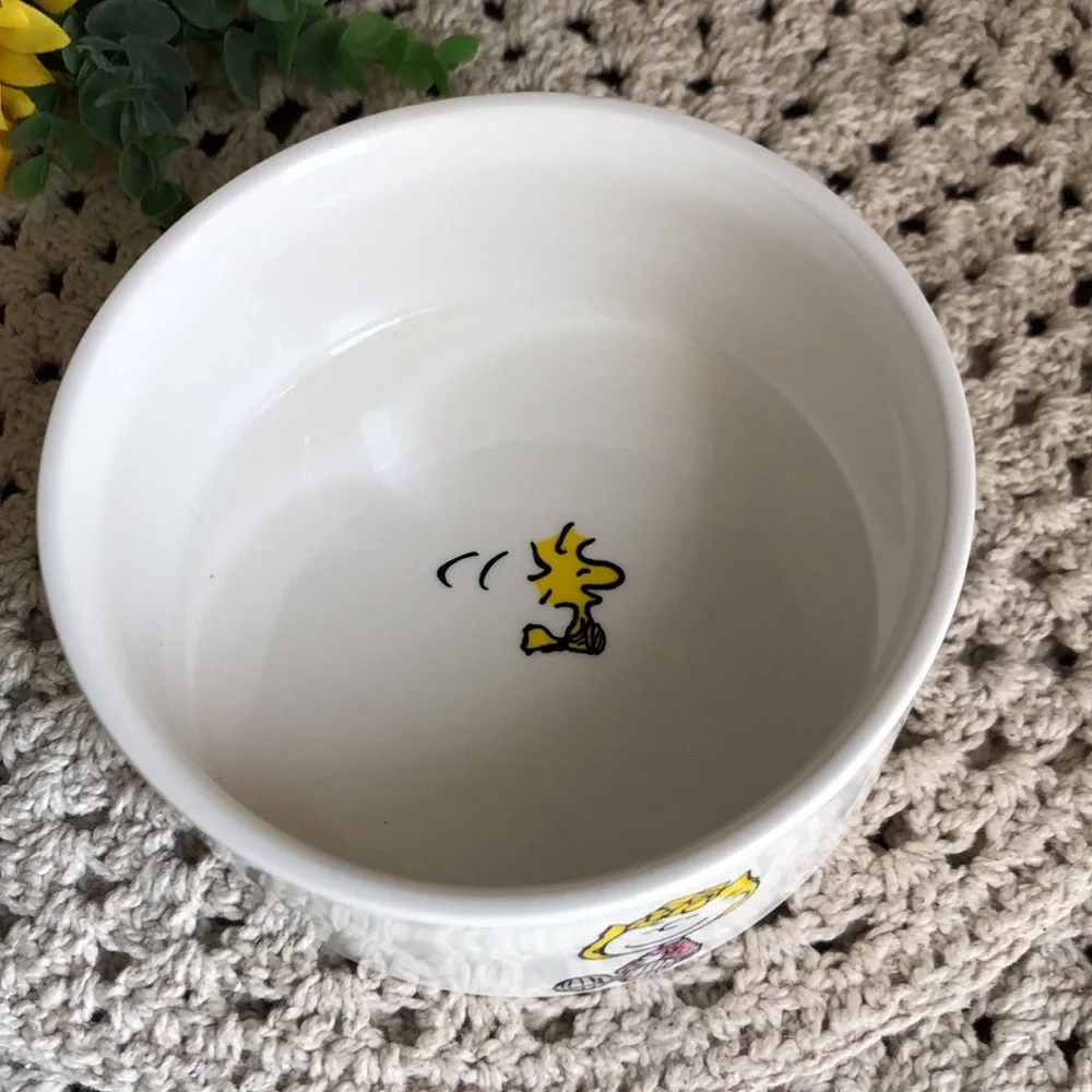 Peanuts Character Ceramic PET Bowl